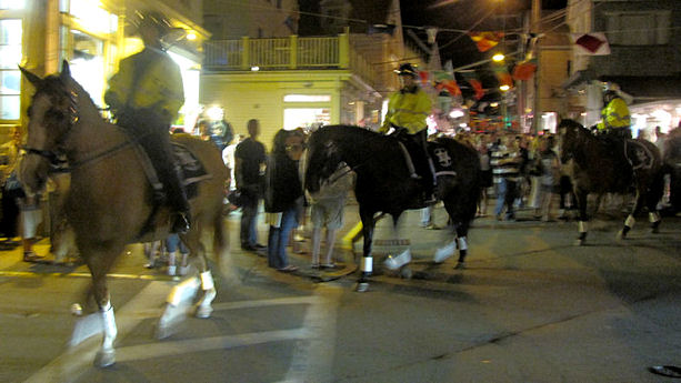 mounted image 2