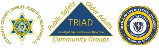 triad logo